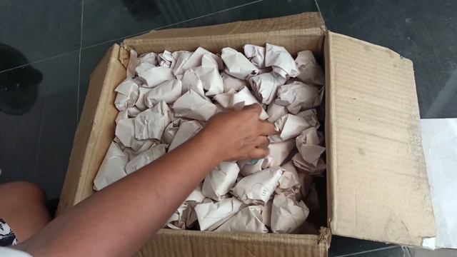 Unboxing a succulent box смотреть онлайн