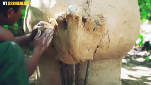 Построил своими руками дом для бездомных животных. I Built A House For Cats And Dogs With My Own