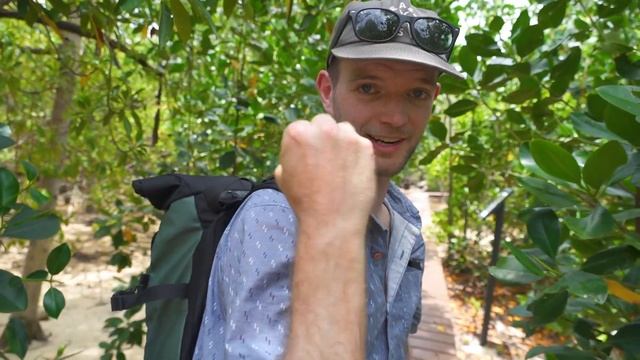 Visiting Seychelles Tortoise Island  // Praslin - Curieuse Island // Seychelles 2022