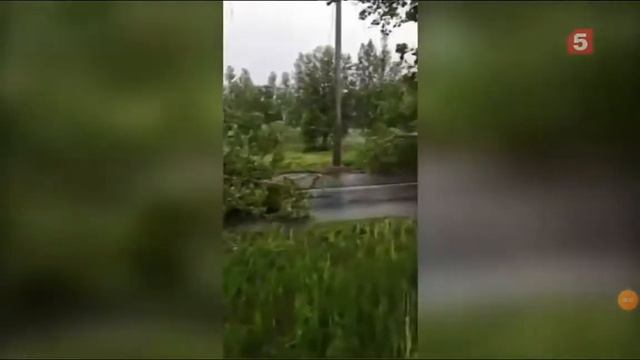 новости об урагане в Ленинградской области 1 августа смотреть онлайн