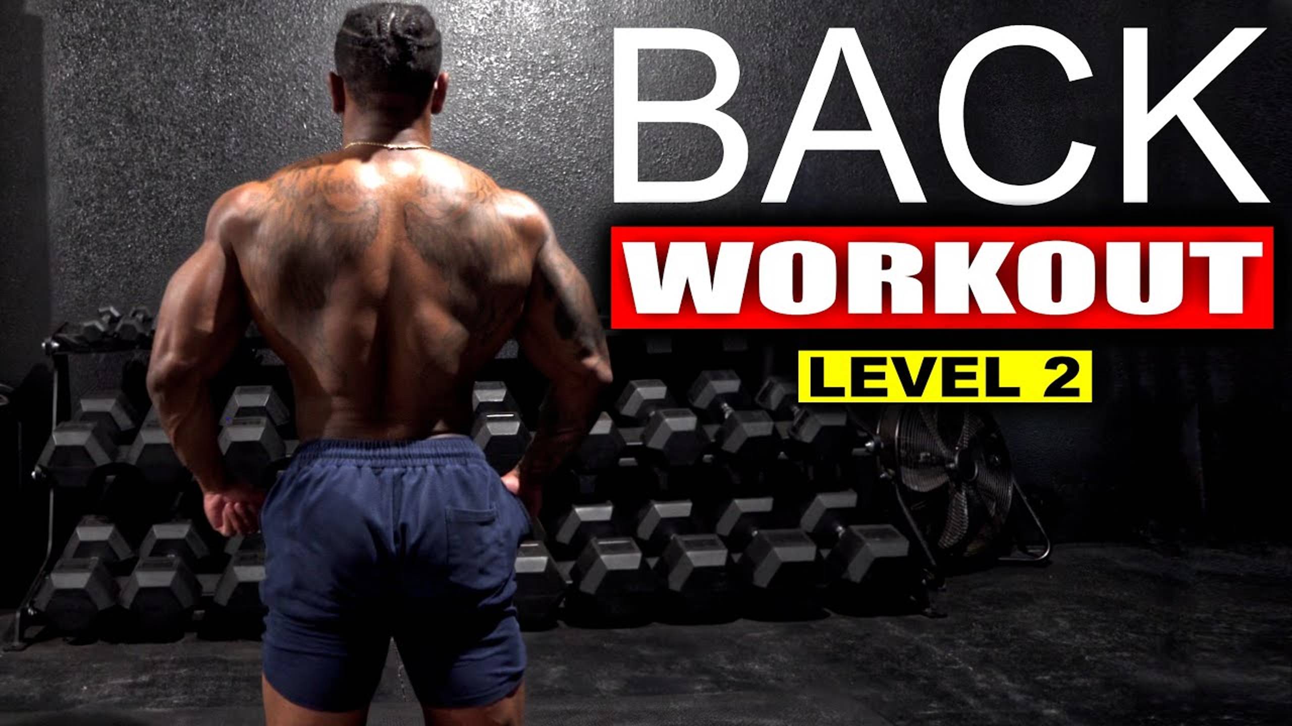 5 MINUTE BACK WORKOUT(NO EQUIPMENT) смотреть онлайн