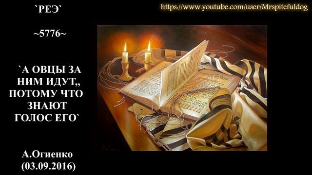 «РЕЭ» 5776 «А ОВЦЫ ЗА НИМ ИДУТ, ПОТОМУ ЧТО ЗНАЮТ ГОЛОС ЕГО» — А Огиенко (03.09.2016) смотреть онлайн
