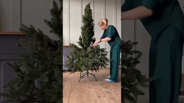 Императорская елка, сборка смотреть онлайн