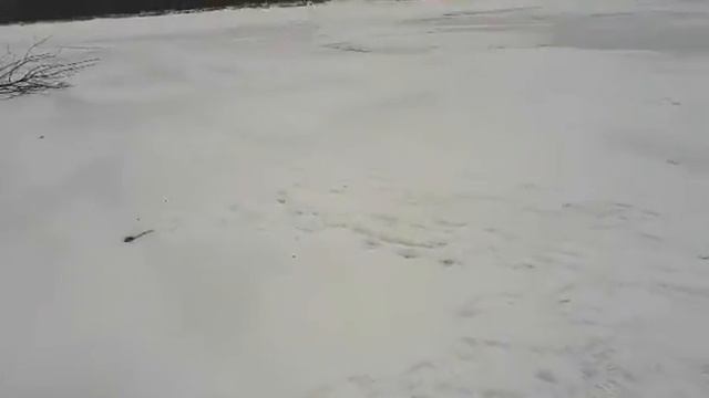 Снегоход выташили из подольда смотреть онлайн