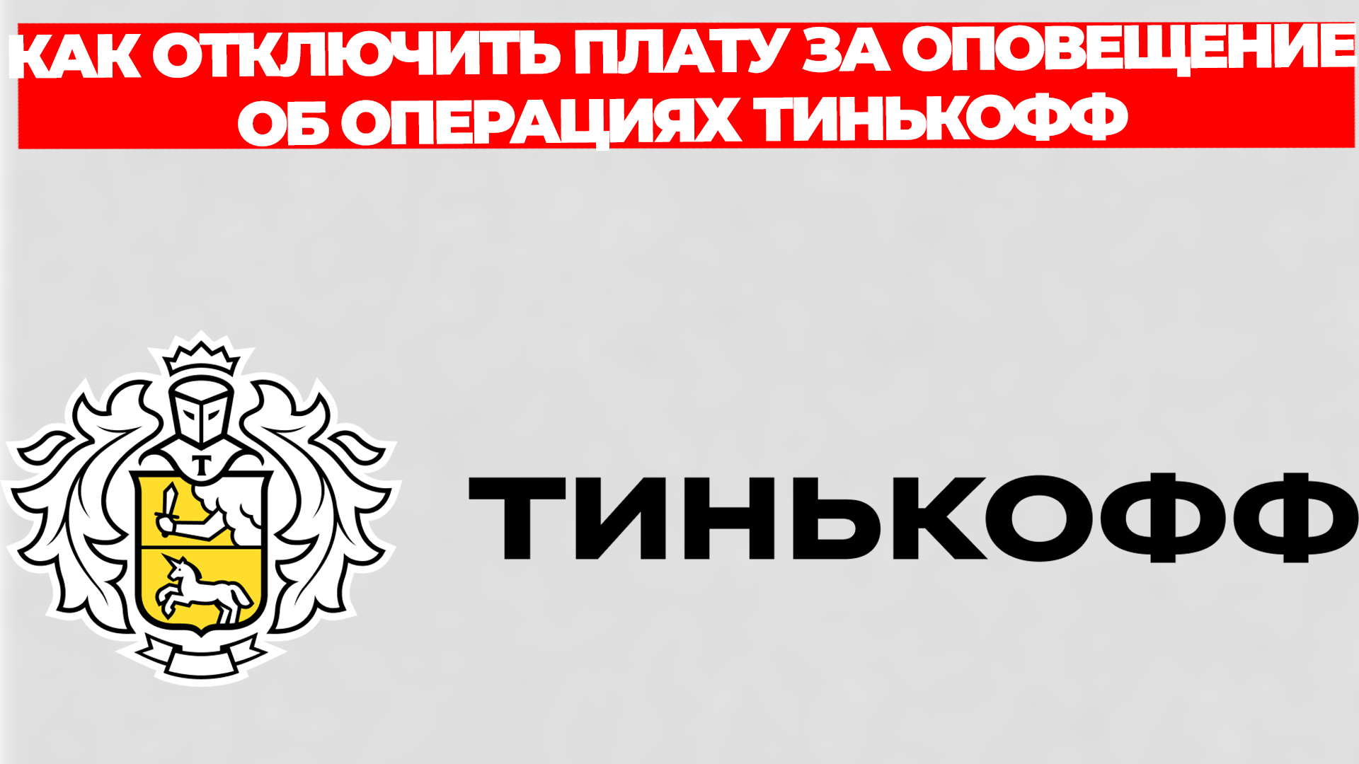 Всезнающий Енот