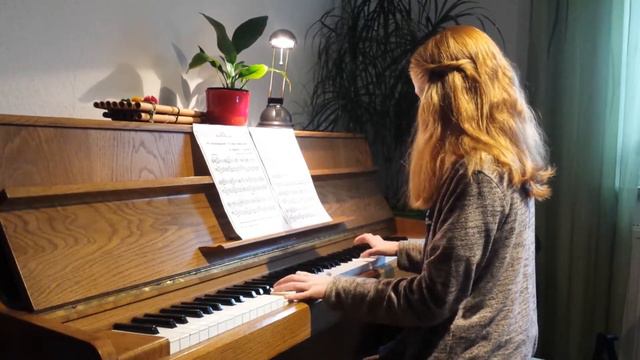 russische Tiersendung/В мире животных/piano смотреть онлайн