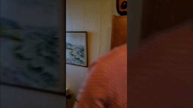 Музей. Квест. О Запрете и Преследовании в СССР смотреть онлайн