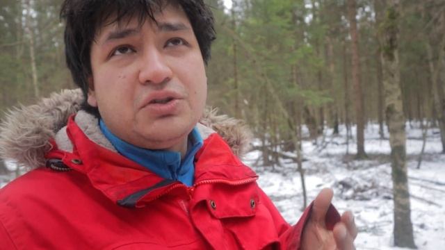 Бушкрафт / Лесной лагерь - День 5 / Один в зимнем лесу - 24 часа укрытие своими руками - кемпинг смотреть онлайн