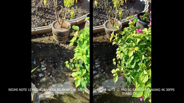 TES KAMERA REDMI NOTE 12 PRO 4G VS REDMI NOTE 12 PRO 5G смотреть онлайн