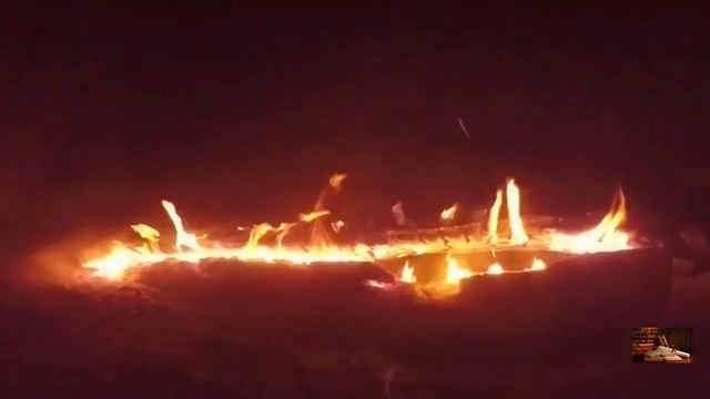 ЖУТКИЕ ИСТОРИИ НА НОЧЬ-ЛЕСНАЯ СИЛА смотреть онлайн