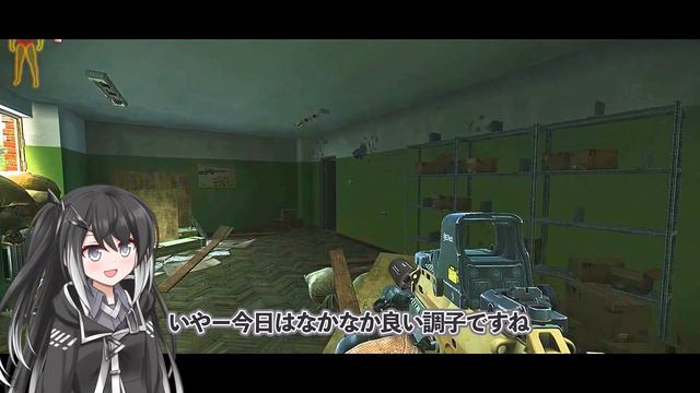 【タルコフ】MP7が最強‼リザーブでPMCとレイダーと超激戦‼【EFT】【Coefont】 смотреть онлайн