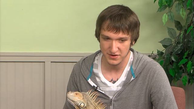 The Paw Report, Episode 405 - Living with Lizards смотреть онлайн