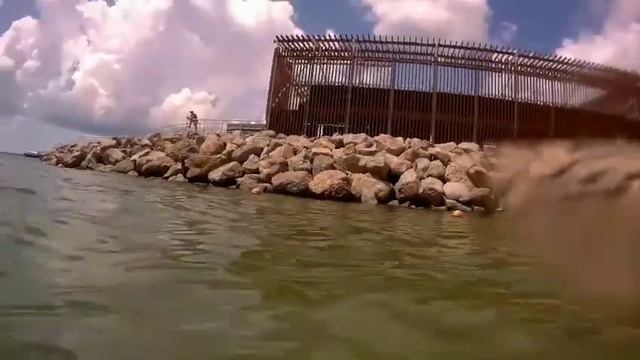 Лето! Купание в море🐬 смотреть онлайн