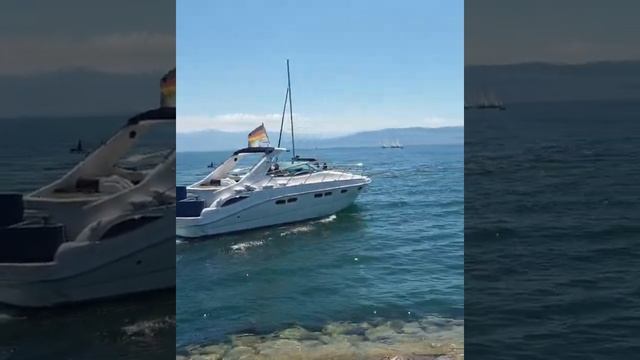 Боденское озеро - Bodensee #весна2020 смотреть онлайн