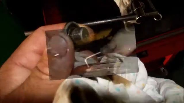 опель корса замена масла мкпп робот смотреть онлайн