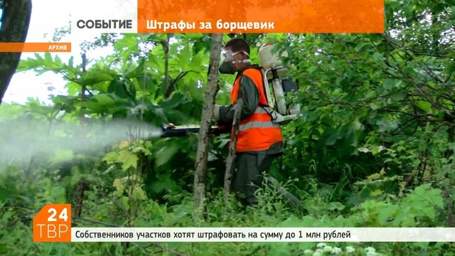 Штраф за борщевик