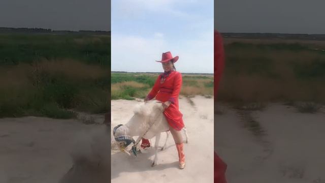 Girl rides her sheep 3 смотреть онлайн