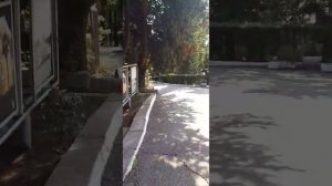 центр отдыха "Сочи" МО РФ