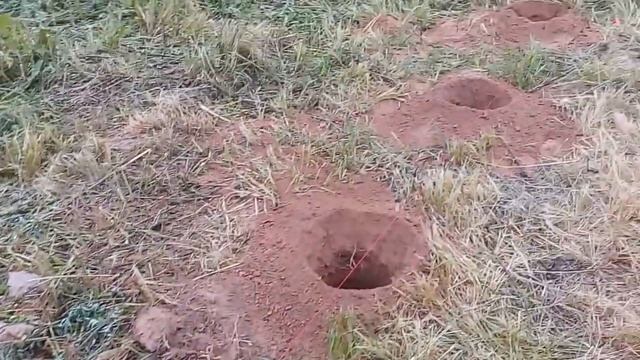 Бурение отверстий под сваи смотреть онлайн