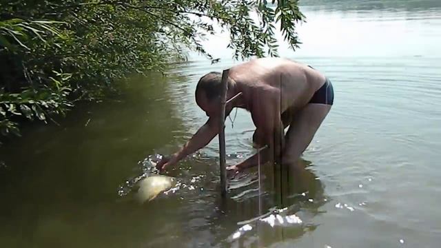 Сазан на Ахтубе смотреть онлайн