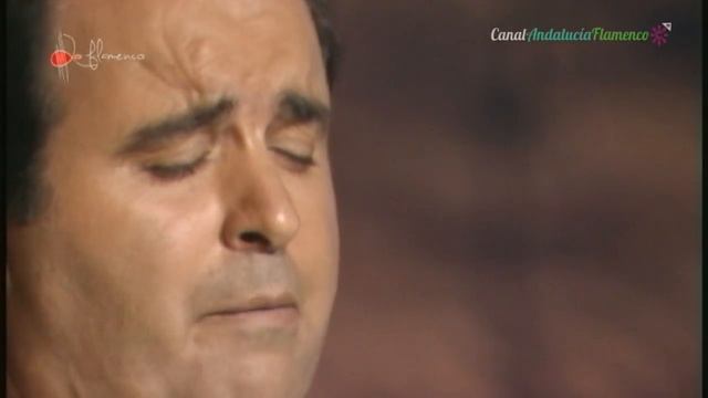Colombianas. José Galán. 1989 смотреть онлайн