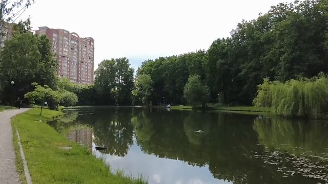 Мажор, опоив простушку, грязно ее использовал… А спустя годы в зале суда оцепенел, увидев судью смотреть онлайн