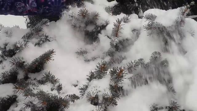 Нужно или нет освобождать деревья и кустарники от снега зимой смотреть онлайн