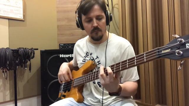 Kaoma - Lambada (Bass Cover) смотреть онлайн