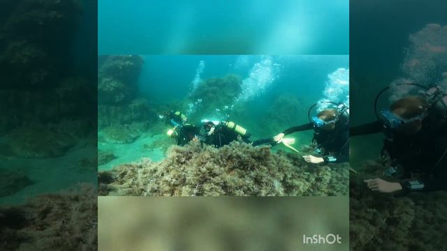 дайвинг в Архипо-Осиповке с дайв-центром Катран смотреть онлайн