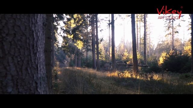 В. Корженевский (Vikey) читает стихи "Без тебя...", 0+ смотреть онлайн