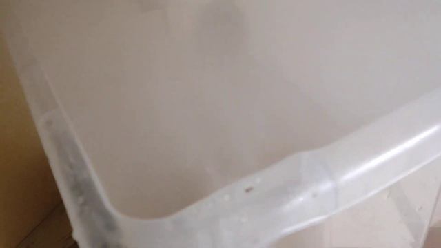 улиточная ферма #устройство улиточной фермы#разведение улиток#бизнес идея#как выращивать улиток смотреть онлайн