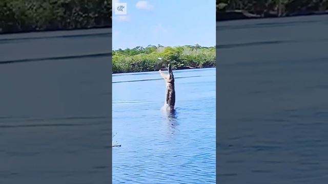 Ты шутишь со мной?