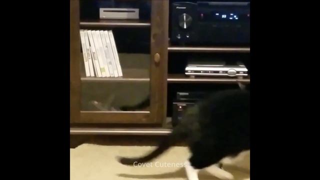 That's reason why i love cat смотреть онлайн