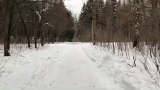 #Липецк #Парк_Победы. У все тает и +2. 4.02.2019 смотреть онлайн