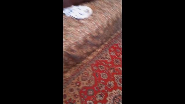 как сделать очень вкусный и пышный бисквит смотреть онлайн