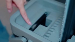 КУПАЮ В ВАННОЙ КОШКУ И СОБАКУ С ЁЖИКОМ | ГЕНЕРАЛЬНАЯ УБОРКА ДОМА С ПИТОМЦАМИ - ZETTER