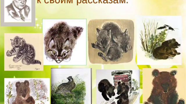 «Чарующий мир рассказов Чарушина» смотреть онлайн