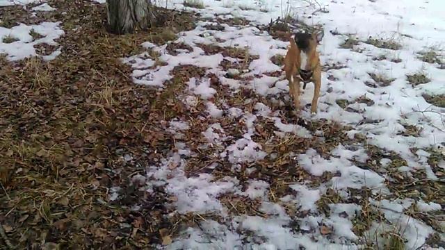 staff 5 месяцев смотреть онлайн
