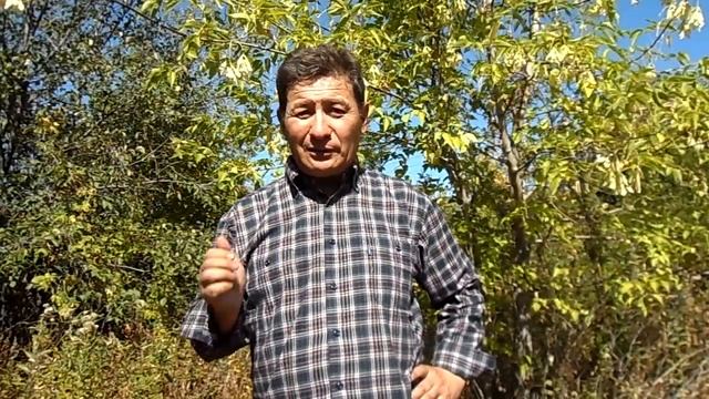 Зачем я снимал короткие видео с одним видом растений? Смысл действия Мага | вопрос эзоподписчикам смотреть онлайн