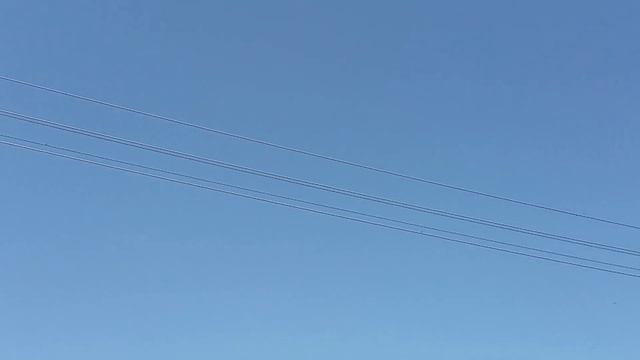 ЯГОДА СМОРОДИНА. ЕДА. СТРОЙКА!!! ? смотреть онлайн