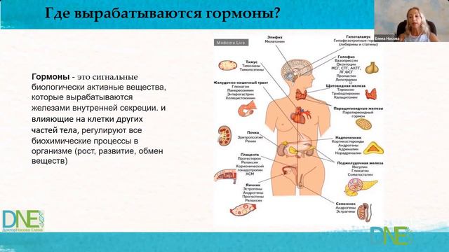Как управлять гормонами | От чего зависит гормональное здоровье | Где Вырабатываются Гормоны