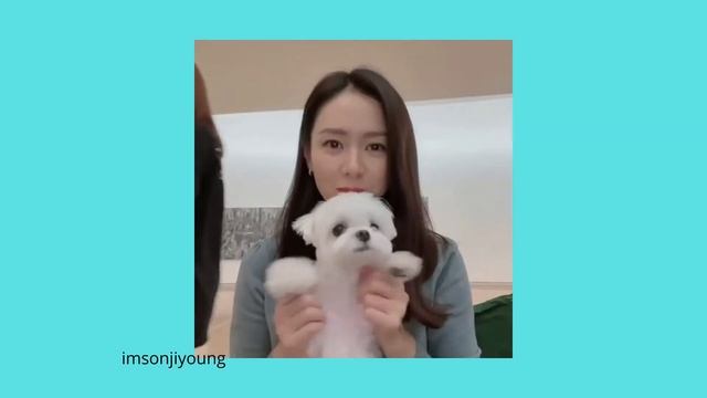 Son Ye Jin Instagram Update 손예진 인스타그램 업데이트