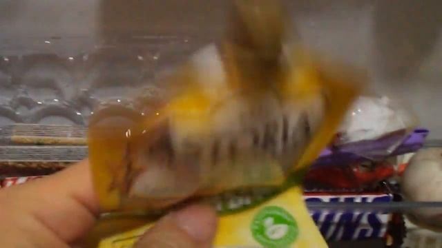 обзор моего холодильника