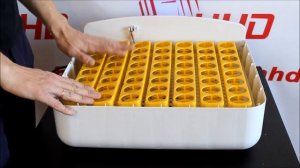 Инкубатор HHD 56a. Обзор