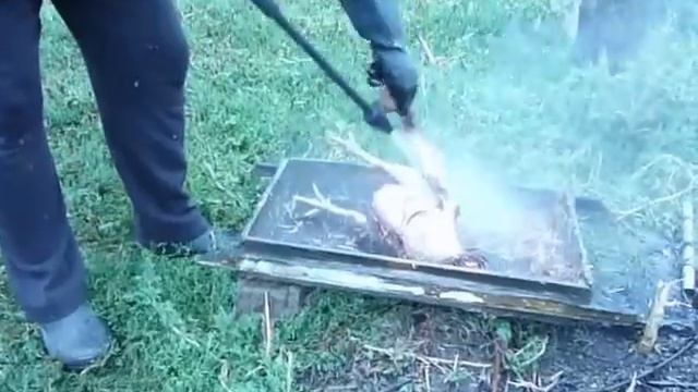 Кёрхер и курица смотреть онлайн