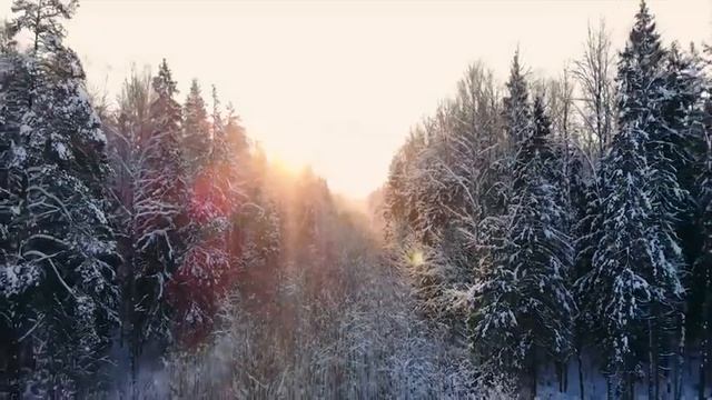 (4K UHD) Beautiful Winter Snow Scene Relaxing Piano Music - Soothing Calm Sleep Meditation Music #7