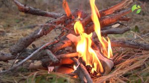 С полем! "Край, где есть всё" Часть 1