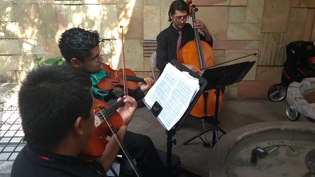 Violines en Cuernavaca Morelos смотреть онлайн