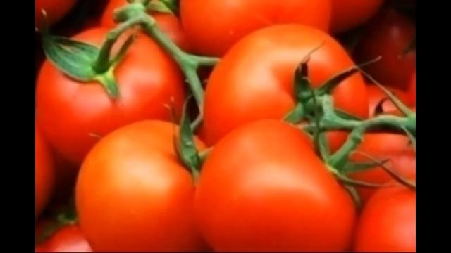 Эти томаты сажают 99% дачников. Урожай впечатляет. Лучший сорт томатов 2024
