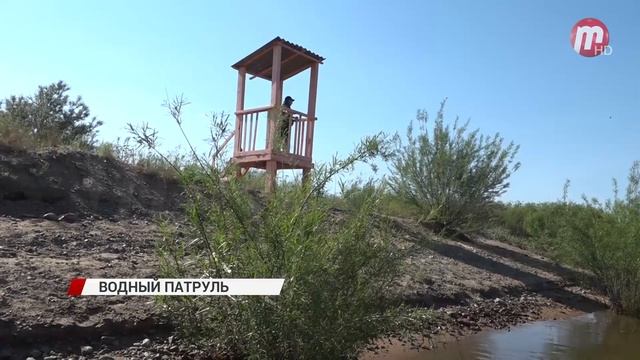 В каких местах разрешено купание и почему реки города опасны для здоровья? смотреть онлайн